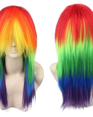 Rainbow Long Straight Wig for LGBT Parade
