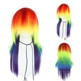 Rainbow Long Straight Wig