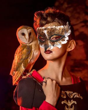 2 PCS Cosplay Feather Owl Bird Masquerade Masks