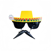 Mexico May Day Holiday Dead Sombrero Party Glasses